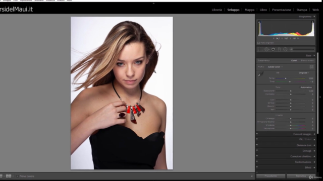 Portrait Pro 18: dalle Basi ad un utilizzo Professionale – Screenshot 4