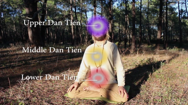 The No. 1 QiGong Movement, Breathwork & Meditation course. – Screenshot 1