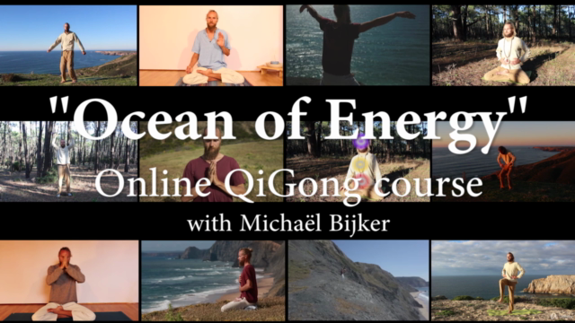 The No. 1 QiGong Movement, Breathwork & Meditation course. – Screenshot 4