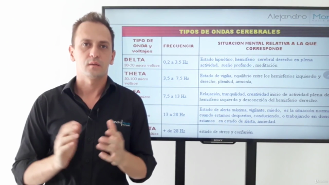 El funcionamiento del cerebro y la transformación personal – Screenshot 2