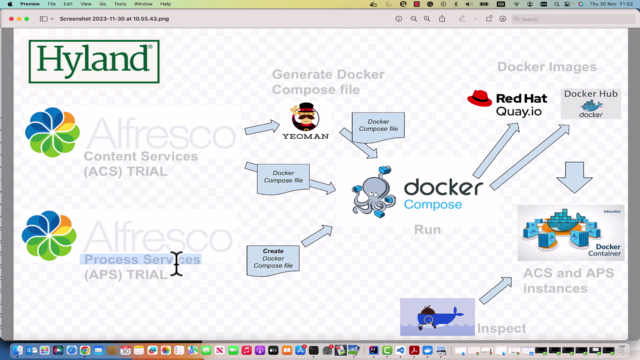 Hyland Alfresco Developer - Installation with containers – Screenshot 1