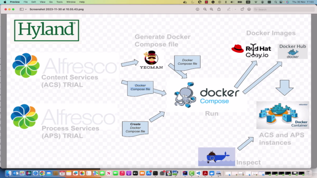 Hyland Alfresco Developer - Installation with containers – Screenshot 2