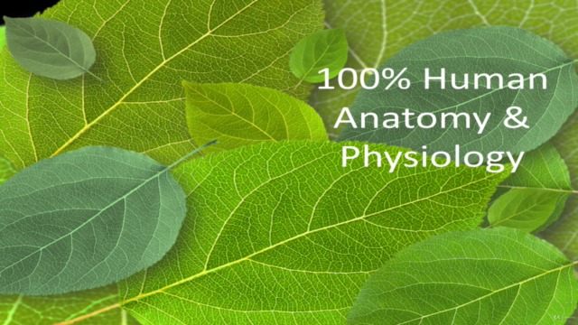 Anatomy & Physiology – Screenshot 4