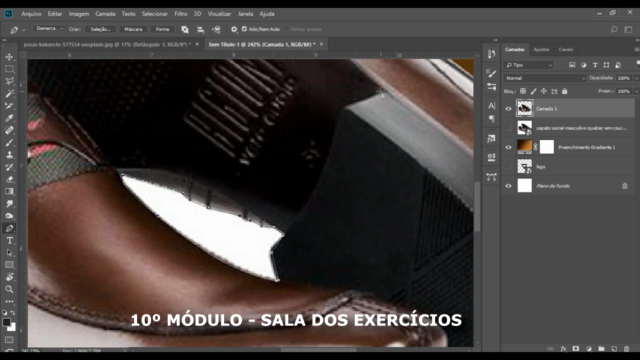 Designer Gráfico com o CorelDraw, Photoshop e Cinema 4D – Screenshot 3