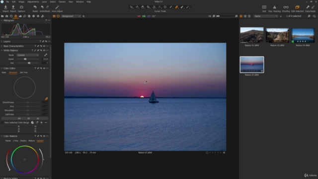 Quick Start to Capture One Pro – Screenshot 2
