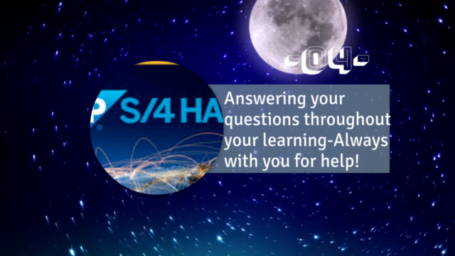 SAP S/4HANA Sales and Distribution – Screenshot 3
