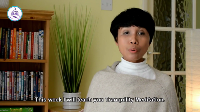 The Secrets of Your Mind & Meditation – Screenshot 3