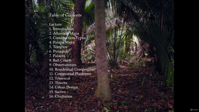 Maya Architecture, Design and Civilization – Screenshot 1