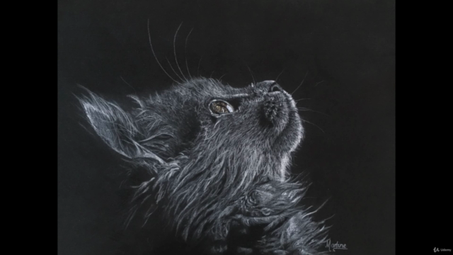 Cat in colored pencils on sanded paper - Screenshot_01
