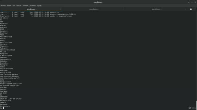 Masterclass - Hacking de dispositivos moviles – Screenshot 3