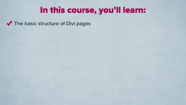 The Divi WordPress Theme for Beginners – Screenshot 3