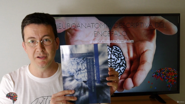 Neuroanatomía Descriptiva del Encéfalo – Screenshot 2