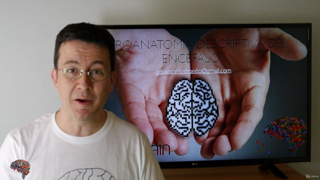 Neuroanatomía Descriptiva del Encéfalo – Screenshot 3