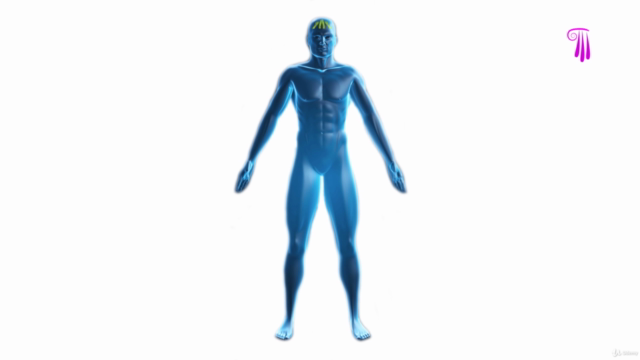 Podal Reflexology Massage – Screenshot 2