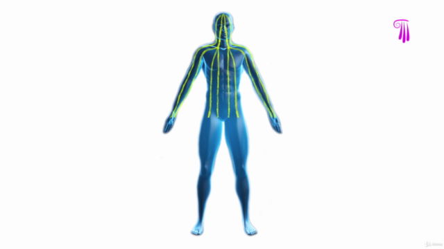 Podal Reflexology Massage – Screenshot 3
