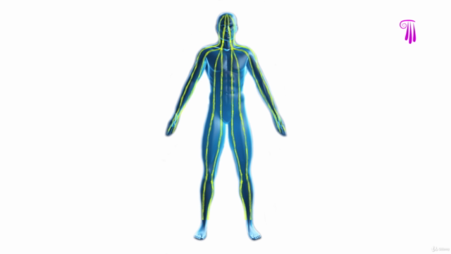 Podal Reflexology Massage – Screenshot 4