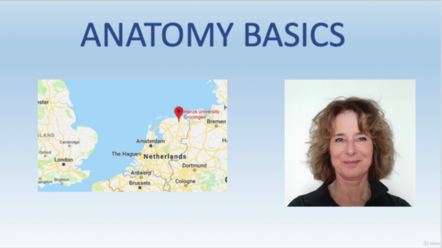 Anatomy Basics – Screenshot 1