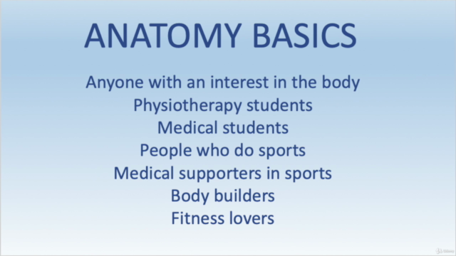 Anatomy Basics – Screenshot 2