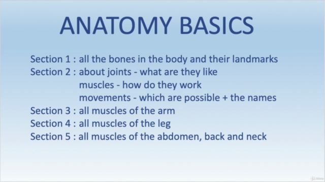 Anatomy Basics – Screenshot 3