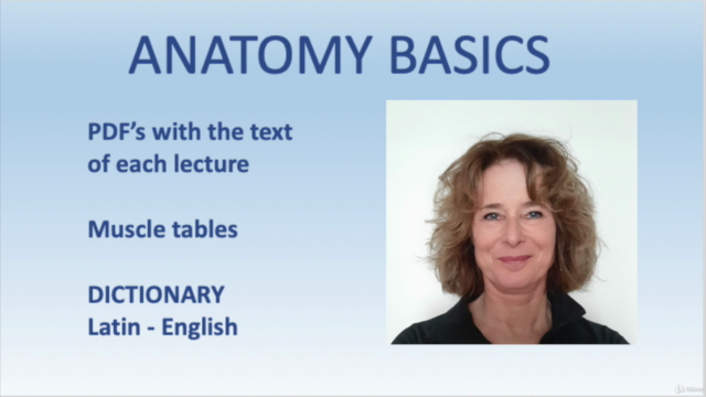 Anatomy Basics – Screenshot 4