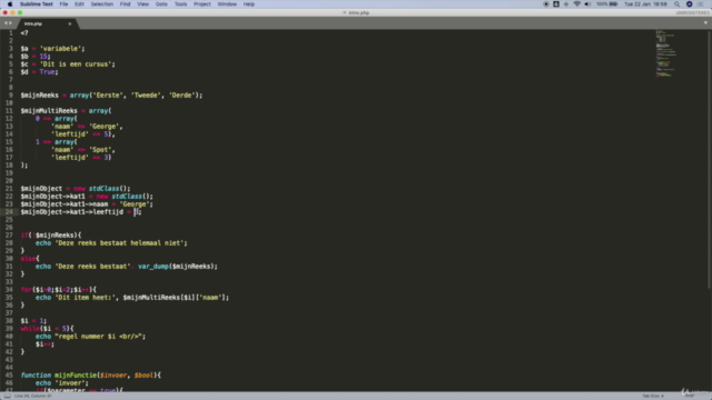 PHP voor beginners - in 2 uur leren programmeren – Screenshot 3