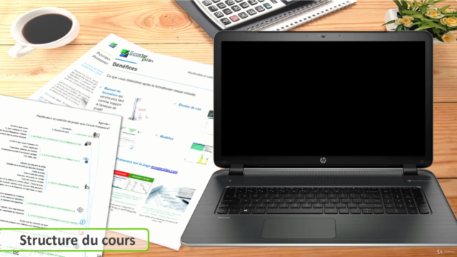 Planification et contrôle de projet avec Oracle PrimaveraP6® – Screenshot 4