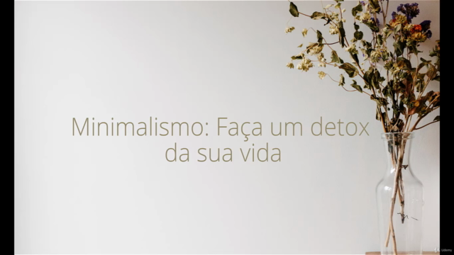 Minimalismo: Faça um detox da sua vida – Screenshot 1