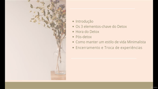 Minimalismo: Faça um detox da sua vida – Screenshot 2