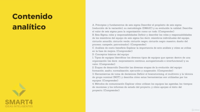 Certificación Cinturon Amarillo Lean 6Sigma – Screenshot 2