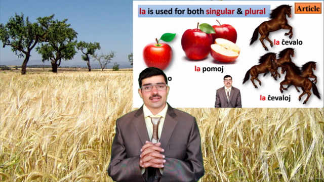 Learn Esperanto Language Course | Esperanto Language Lover – Screenshot 4