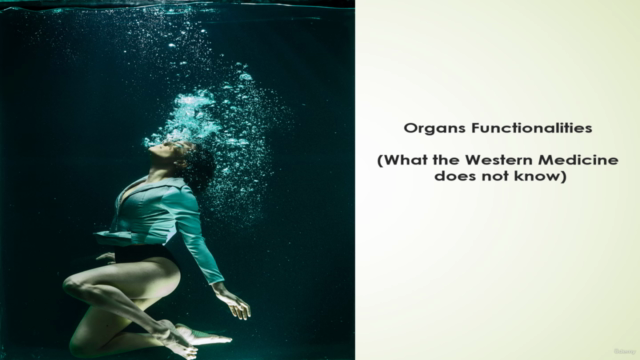 Organs Functionalities (What Western Medicine does not know) – Screenshot 2