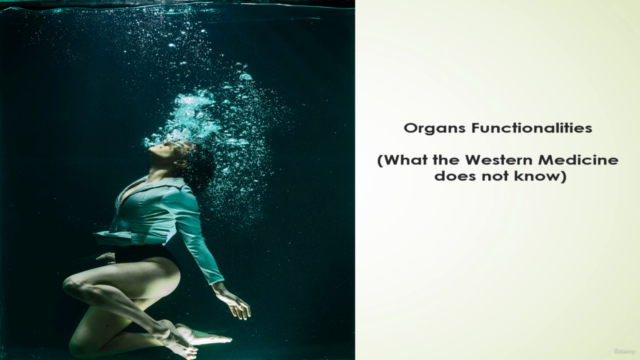 Organs Functionalities (What Western Medicine does not know) – Screenshot 3
