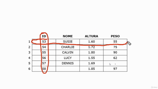 Curso de SAS do ZERO em 35 AULAS – Screenshot 1