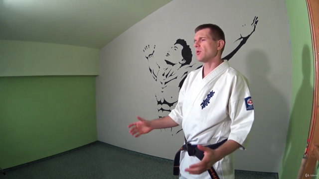 KYOKUSHIN KARATE most useful kicks, punches, katas, workout – Screenshot 1