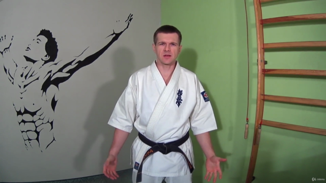 KYOKUSHIN KARATE most useful kicks, punches, katas, workout – Screenshot 2