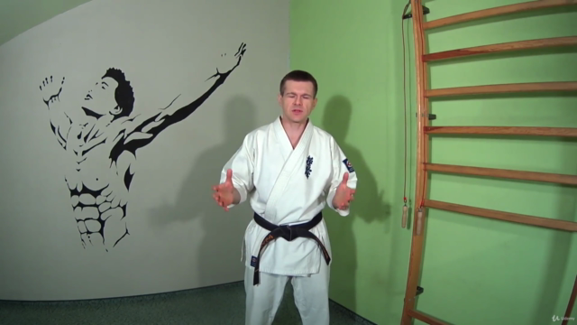 KYOKUSHIN KARATE most useful kicks, punches, katas, workout – Screenshot 4