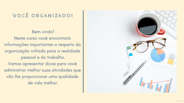 Você organizado! – Screenshot 1