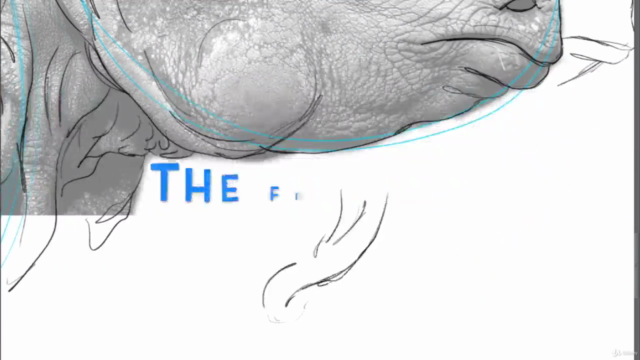 Drawing Animals - The Essential Course -Beginner to Advanced – Screenshot 3