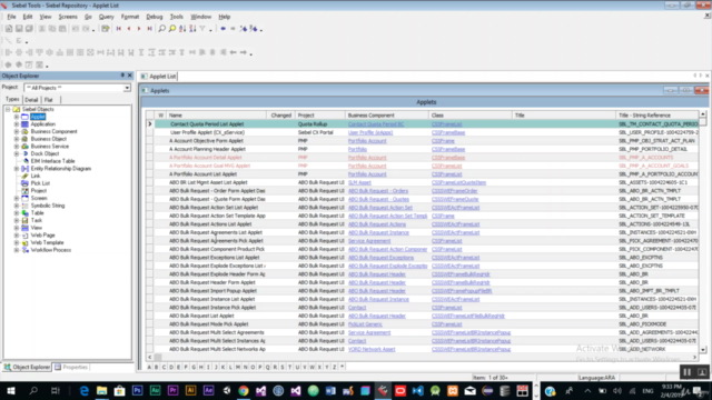 Oracle Siebel Developer - Beginner in Arabic – Screenshot 3