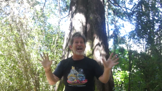 The Spiritual Psychotherapy of A Course in Miracles (Part I) – Screenshot 3
