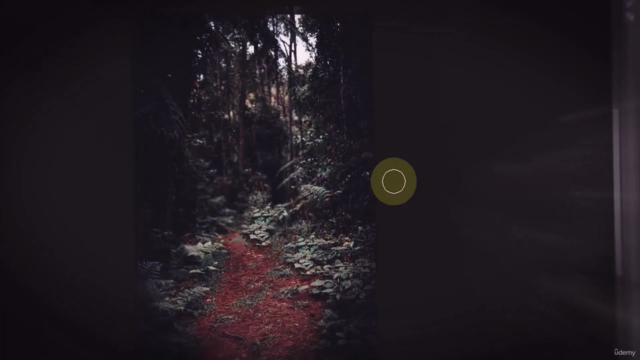 Adobe Photoshop CC 2024 : Cours de débutant à avancé – Screenshot 1