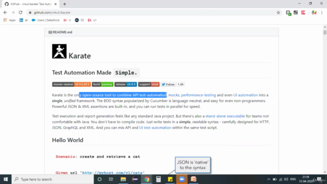 Karate framework - API & UI Automation – Screenshot 1