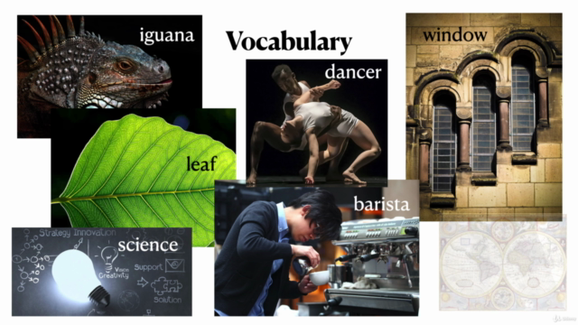 Elementary English Level II: Complete Course – Screenshot 2