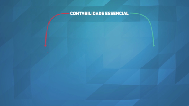 Contabilidade do Zero a Profissional - ESSENCIAL - Screenshot_03