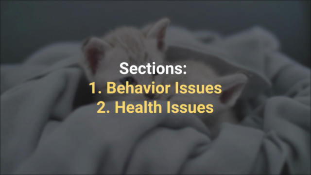 Cat Behavior Rectification & Cat Health Care: 2 courses in 1 – Screenshot 2