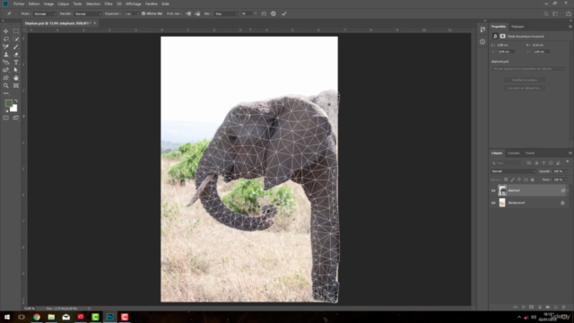 Formation complète Photoshop CC2019 à CC2025 – Screenshot 4