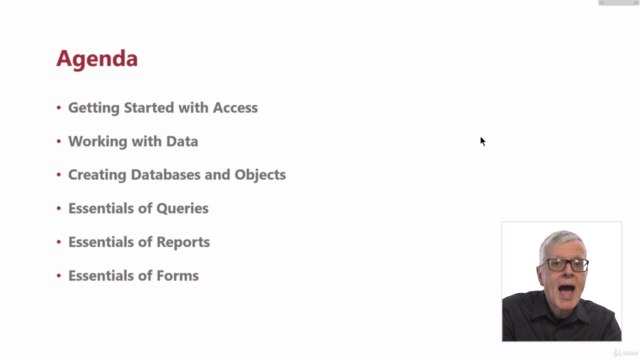Access 2019 Beginner – Screenshot 3
