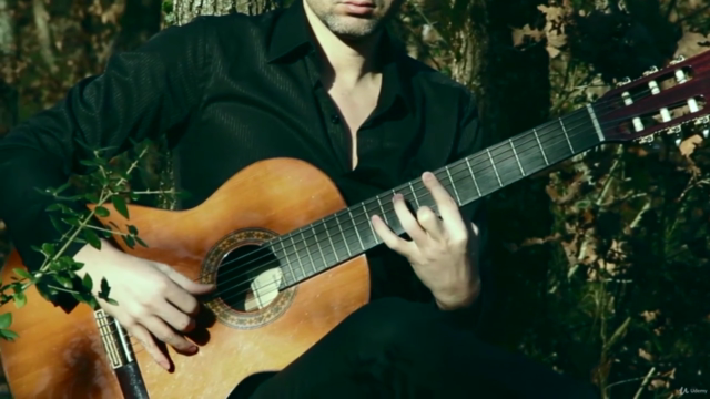 Deniz Demiröz - Klasik Gitar Eğitimi – Screenshot 1