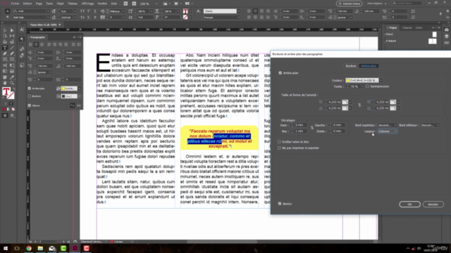 Formation complète Indesign CC2019 à CC2023 – Screenshot 2