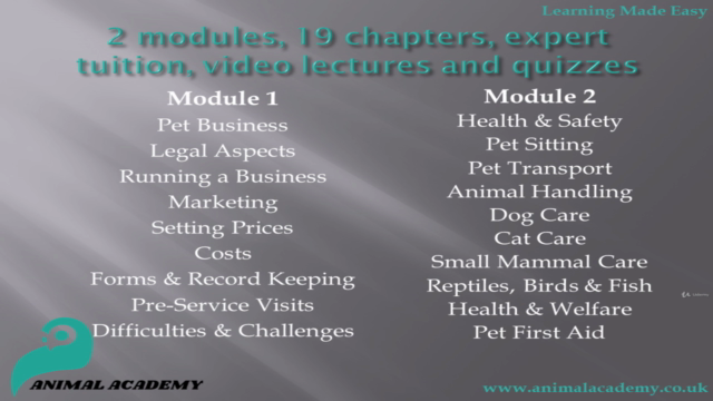Professional Pet Sitting Diploma – Screenshot 3